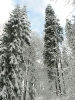 34_Puchar_Magury_6