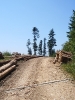 MTB_Puchar_Wojta_znakowanie_p_7