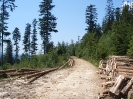 MTB_Puchar_Wojta_znakowanie_trasy_6