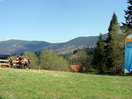 Święto sadzenia drzew (25.04.2009)