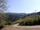 Święto sadzenia drzew (25.04.2009)