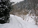 Moja zima  luty 2010